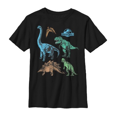 Boy's Jurassic World Dinosaur Party T-shirt : Target