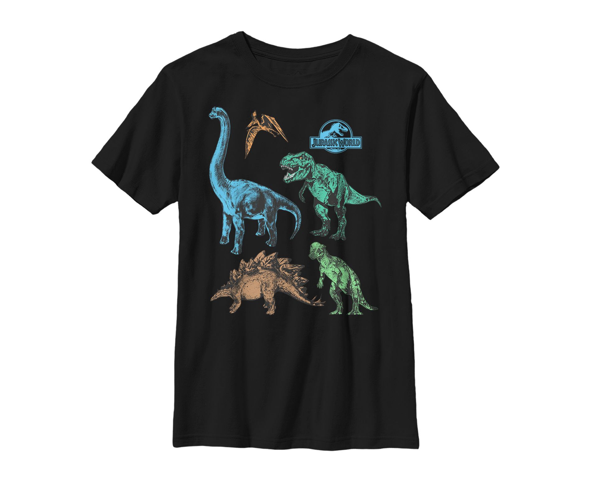 Boy's Jurassic World Dinosaur Party T-Shirt