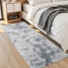 Modern Fluffy Area Rugs for Bedroom Living Room, Plush Soft Thick Fuzzy Shaggy Carpet for Kids Nursery Dorm - 3 of 4