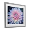 Stupell Industries Dew Kissed Pink Chrysanthemum Framed Print Under Glass - 2 of 4