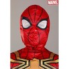 HalloweenCostumes.com Spider-Man Integrated Suit Costume for Kids. - image 3 of 4