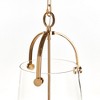 Plum & Post Capra Pendant - 4 of 4