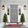 Puleo Set of 2 Artificial Battery-Operated Pre-Lit Potted Oklahoma Fir Trees - 3 of 4