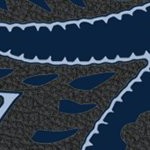 sporting kansas city