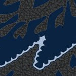 sporting kansas city