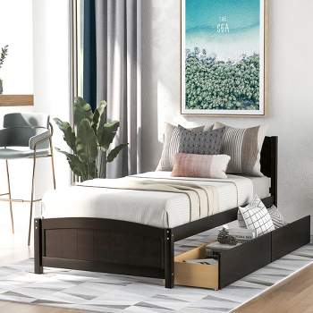 Twin size Platform Bed with Two Drawers-ModernLuxe