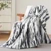 Electric Heated Blanket, Cozy Faux Rabbit Fur, 10 Heating Levels & 4-Hour Auto Off, Fast Heating, Over-Heat Protection, Machine Washable - 2 of 4