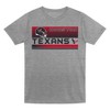 NFL Houston Texans Toddler Boys' Gray 2pk T-Shirt - 2 of 3