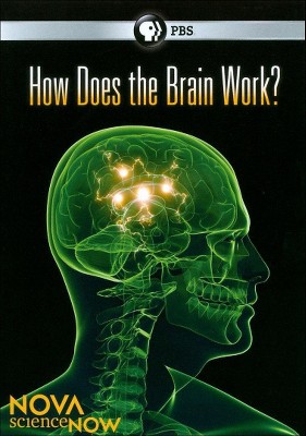  Nova Science Now: How Does The Brain Work? (DVD)(2011) 