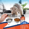 Beloved Pets Natural Yeast Support for Skin & Coat, Healthy Inflammatory Balance in Dogs & Cats 2 Oz - 1 Pack - 4 of 4