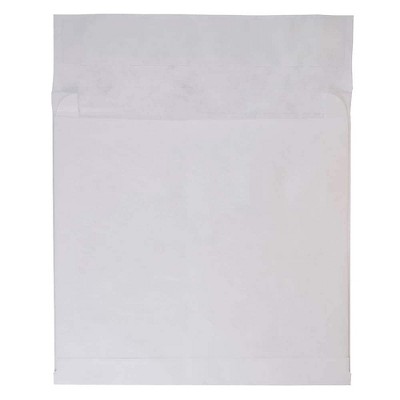 JAM Paper Expandable Booklet Catalog Envelopes w/Peel & Seal Closure 9x12x2 376634190B