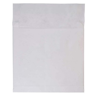 JAM Paper Expandable Booklet Catalog Envelopes w/Peel & Seal Closure 9x12x2 376634190B