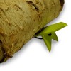 Timber Tuff TMW-61 Secure Hold Compact Portable Log Dog Pair with Attached Rope for Sturdy and Safe Woodcutting, Carpentry, and Forestry Jobs, Green - 3 of 4