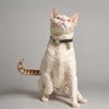 Unique Bargains Adjustable Breakaway Feature Cat Collar 1 Pc - 3 of 4