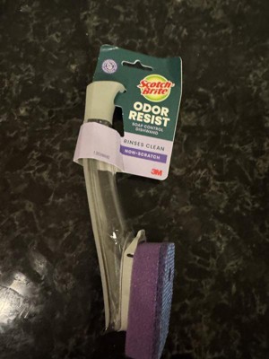 Guest review image 6 of 6, zoom in