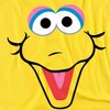 Boys' Short Sleeve Sesame Street Big Bird Eyes T-Shirt - 3 of 4