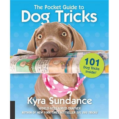 dog training 101 kyra sundance