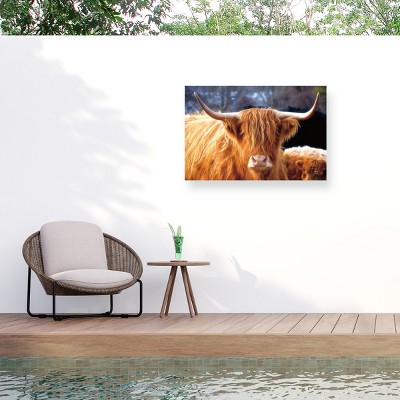 Nathan Larson Highland Cow Sunshine Outdoor Canvas Art