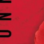 clear push pins bundle