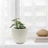 LuxenHome Round Tapered 9.2" H House Planter, Indoor/Outdoor White - image 2 of 4