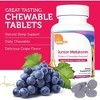 Zahler Junior Melatonin, Supports Restful & Quality Sleep, Natural Grape Flavor, Kosher Dietary Supplement - 60 Chewable Tablets - 4 of 4