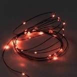 30ct LED Battery Operated Halloween Dewdrop Fairy String Lights Orange - Hyde & EEK! Boutique™