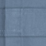 postman blue