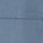 postman blue