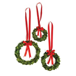 Plum & Post Boxwood Wreaths With Red Ribbons Set of 3 - 1 of 2
