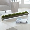 Uttermost Canal Moss Centerpiece - 2 of 3