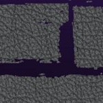 minnesota vikings