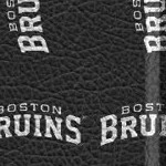 boston bruins