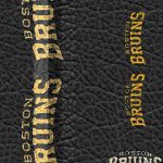 boston bruins