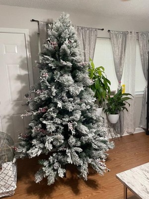 Guest review image 1 of 2, zoom in