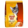 Meow Mix Tender Centers with Flavors of Salmon & Chicken Adult Complete & Balanced Dry Cat Food - image 4 of 4