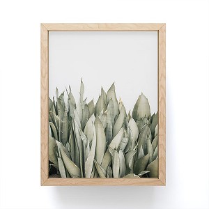 Romana Lilic / LA76 Photography Moonshine Snake Plant Framed Mini Print - Society6 - 1 of 1