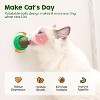 Potaroma Catnip Toys Balls 4 Pcs, Extra Cat Energy Ball - 3 of 3