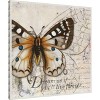 Amanti Art Living your Dreams I Butterfly by Patricia Pinto Canvas Wall Art Print Framed 30 x 30-in. - 3 of 4