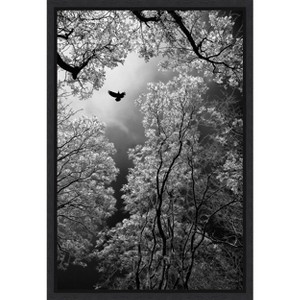 Amanti Art Flight by Goran Stamenkovic Canvas Wall Art Print Framed 16-in. x 23-in. - 1 of 4