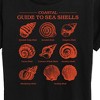 Women's - Instant Message - Coastal Guide To Sea Shells Chart Short Sleeve Graphic T-Shirt - 2 of 4