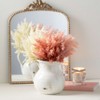 Sullivans Artificial 13" Faux Preserved Plume Bushes - Set of 3 - 4 of 4