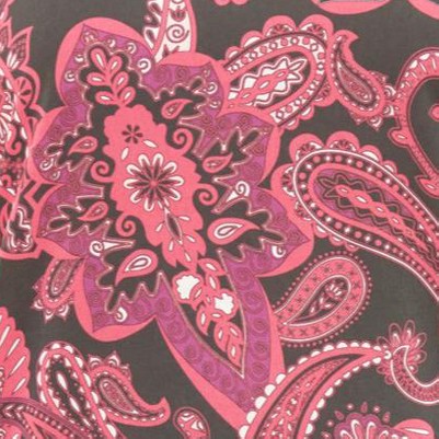 pink burst paisley border