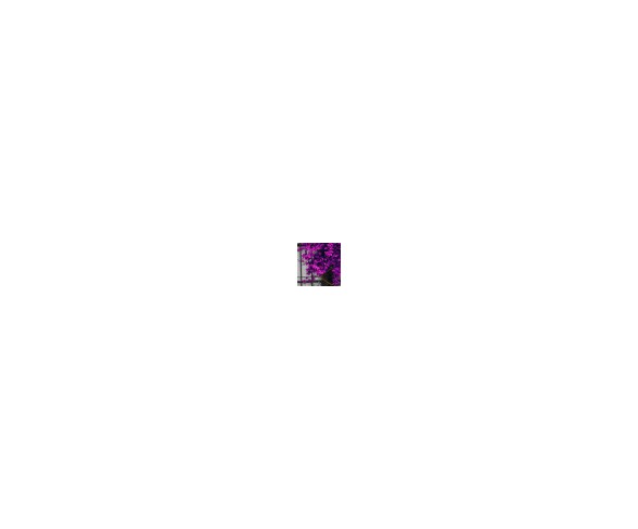 Tree in Front of Window Purple Pop Color Pop by Panoramic Images Canvas Print (18"x12")