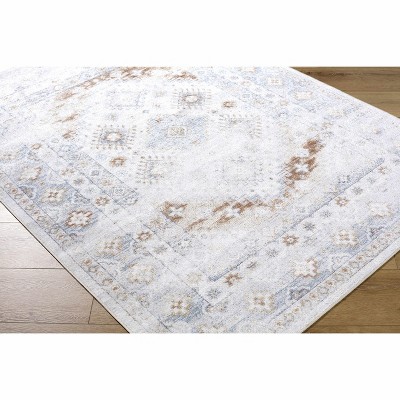 Hauteloom Agaton Living Room, Bedroom Machine Washable Area Rug - Traditional