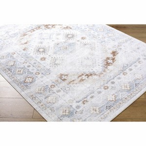 Hauteloom Agaton Living Room, Bedroom Machine Washable Area Rug - Traditional - 1 of 4