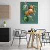 Stupell Industries Autumn Harvest Fruits Canvas Art - 3 of 4