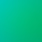 cyrus / polarized bronze green spectra