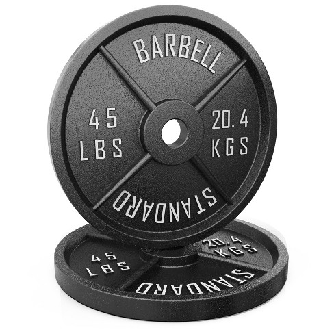 Synergee Standard Metal Weight Plates - 45lb Pair : Target