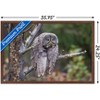 Trends International The Comedy Wildlife Photography Awards: John Blumenkamp - Monday Blahs Framed Wall Poster Prints - 3 of 4