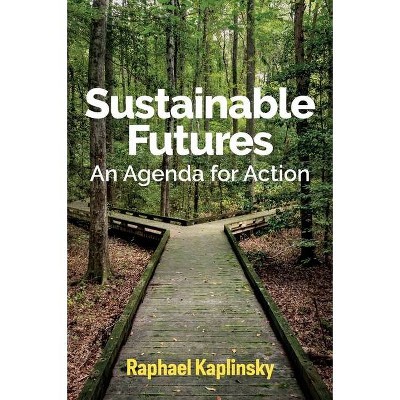 Sustainable Futures - by  Raphael Kaplinsky (Paperback)